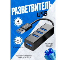 HUB Z6 2USB DREAM (Скидка 10 процентов)