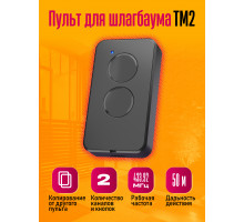 Пульт для шлагбаума Doorhan TM2 1PC/POLYBAG (скидка 50 процентов)