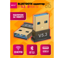 BLUETOOTH адаптер B15 V5.3 10х10 DREAM ORIG