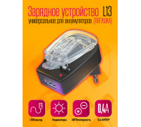 Зарядное устройство для аккумулятора USB ( ЛЯГУШКА) L13 W05